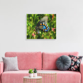 Pipevine Swallowtail Canvas (Insitu (Woonkamer))