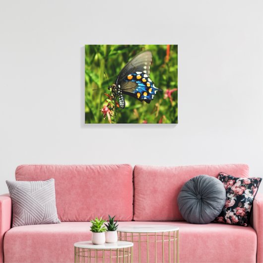 Pipevine Swallowtail Canvas (Insitu (Woonkamer))