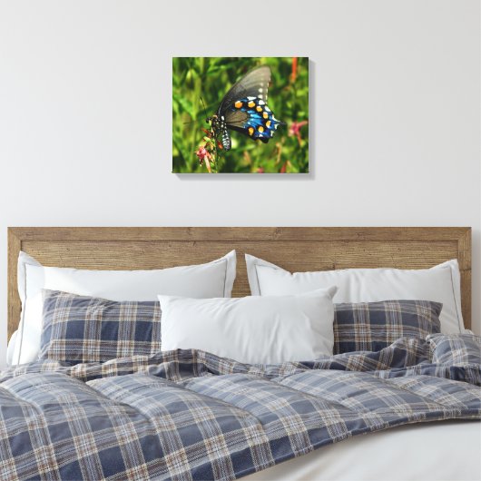 Pipevine Swallowtail Canvas (Insitu (Slaapkamer))
