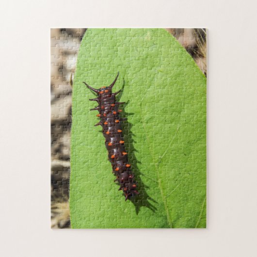 Pipevine Swallowtail Caterstyle op een lef Legpuzzel (Verticaal)