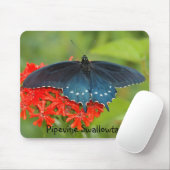 Pipevine Swallowtail Muismat (Met muis)