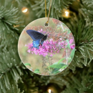 Pipevine Swallowtail on Butterfly Bush Keramisch Ornament