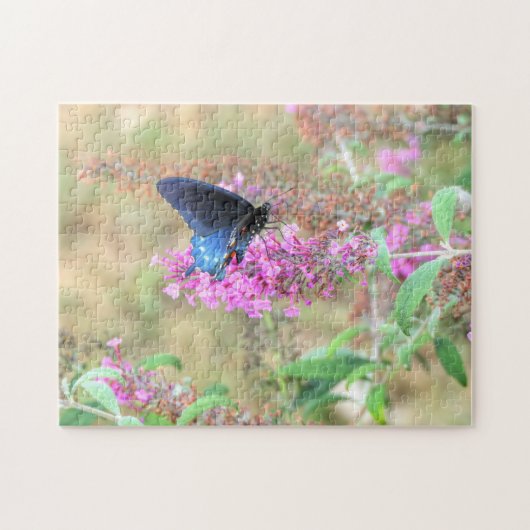 Pipevine Swallowtail on Butterfly Bush Legpuzzel (Horizontaal)