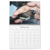 Pipi de schattige vink kalender (Feb 2026)