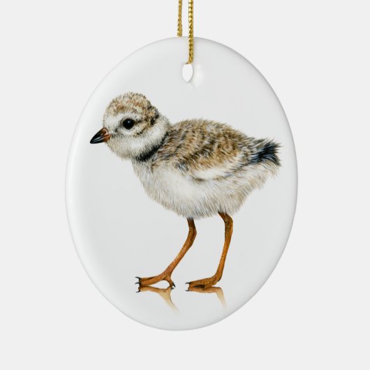 Piping Plover Chick Ornament (Rechts)