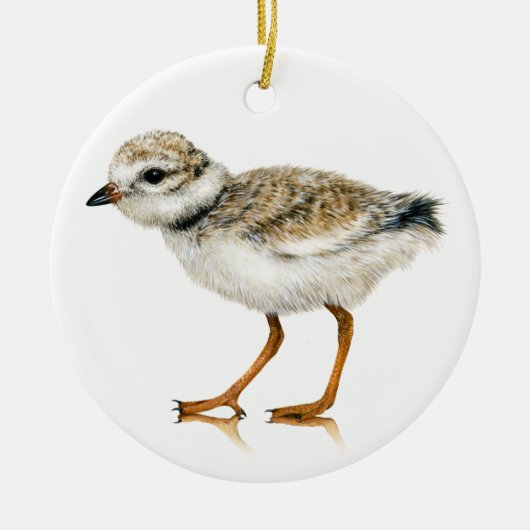 Piping Plover Chick Ornament (Voorkant)