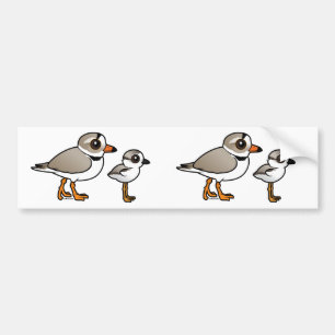Piping Plover met kuiken Bumpersticker