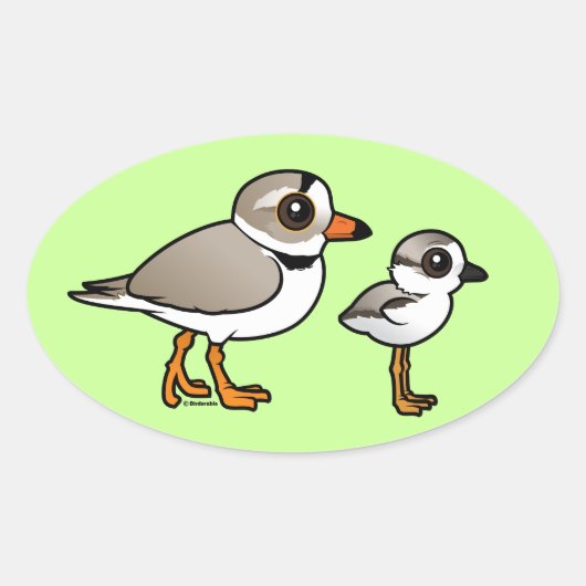 Piping Plover met kuiken Ovale Sticker (Voorkant)