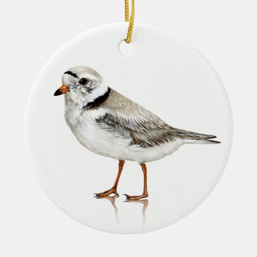 Piping Plover Ornament (Voorkant)