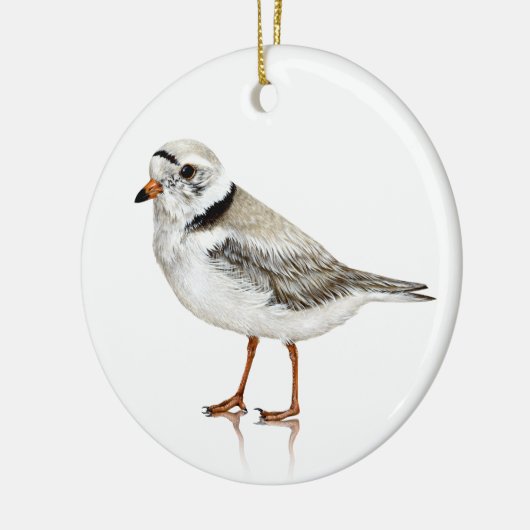 Piping Plover Ornament (Links)