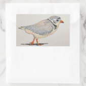 Piping Plover Sticker (Tas)