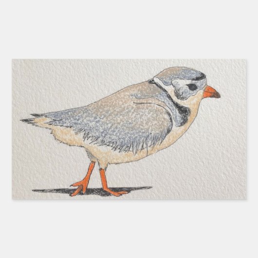 Piping Plover Sticker (Voorkant)