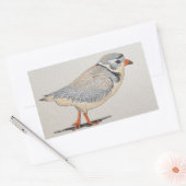 Piping Plover Sticker (Envelop)