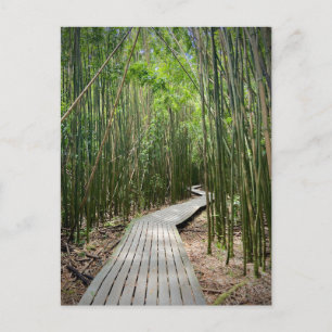 Pipiwai Trail, Nationaal Park Haleakala, Maui Briefkaart