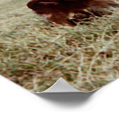 Pippin Poster (Hoek)