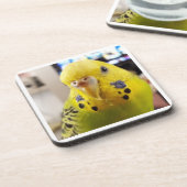Pipsqueak @chirpythecrazyparkeet Plastic coaster Bier Onderzetter (Linkerzijde)