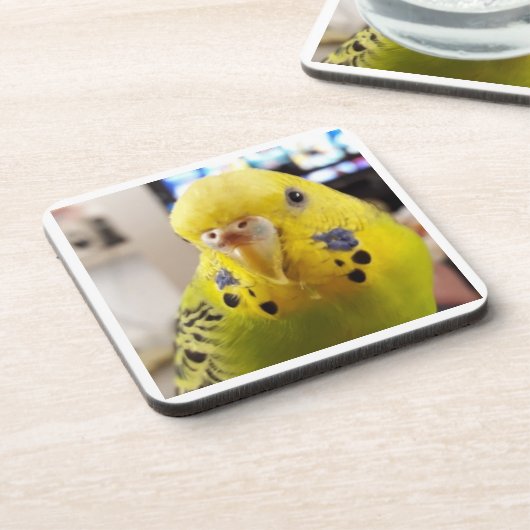 Pipsqueak @chirpythecrazyparkeet Plastic coaster Bier Onderzetter (Linkerzijde)