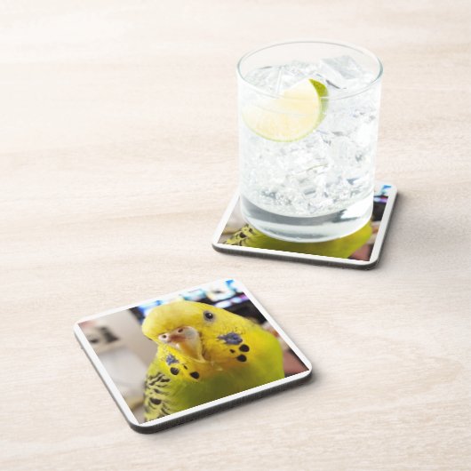 Pipsqueak @chirpythecrazyparkeet Plastic coaster Bier Onderzetter (Rechterzijde)