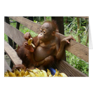Pique-nique de banane d'animal bébé