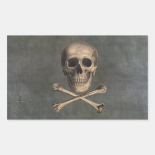  piraat Jolly Roger Stickers