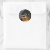 Piranha Close-up Ronde Sticker (Tas)