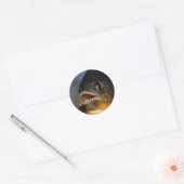 Piranha Close-up Ronde Sticker (Envelop)