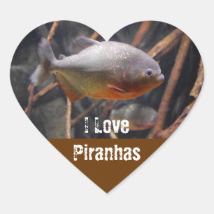 Piranha - Onaantrekkelijke bruine vis Hart Sticker