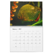 Piranhas Wall Calendar Kalender (Feb 2027)