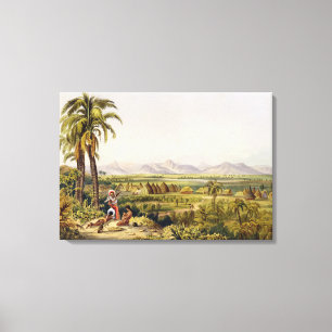 Pirara and Lake Amucu, The Site of Eldorado, print