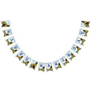 Pirate Birthday Party Bunting Flags Vlaggetjes