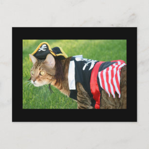 Pirate Cat Briefkaart