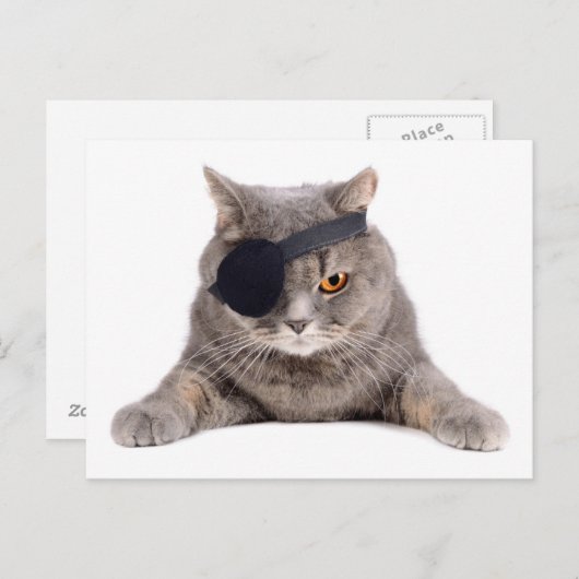 Pirate Cat Briefkaart (Voorkant / Achterkant)