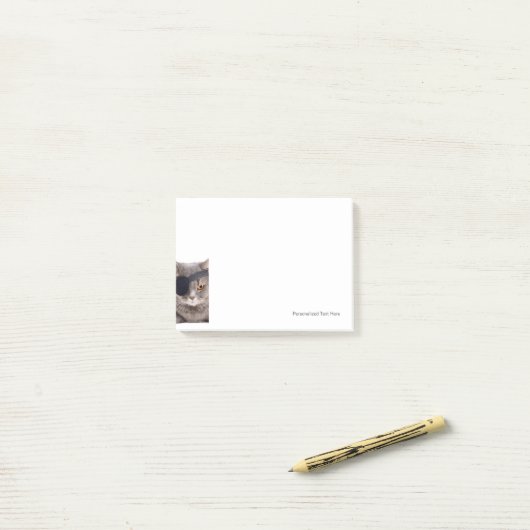 Pirate Cat Post-it® Notes (Op bureau)