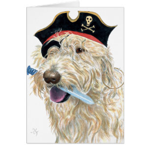 Pirate Cream Labradoodle
