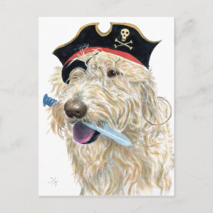Pirate Cream Labradoodle Briefkaart