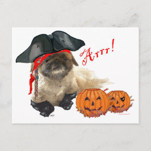 Pirate Doggie Briefkaart