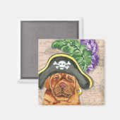Pirate Dogue de Bordeaux Magnet (Recto/Verso)