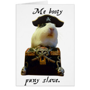 Pirate drôle de porc de Guinée