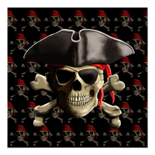 Pirate Skull en Pet Perfect Poster (Voorkant)