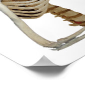 Pirate Tennis Losing Skeleton Poster (Hoek)