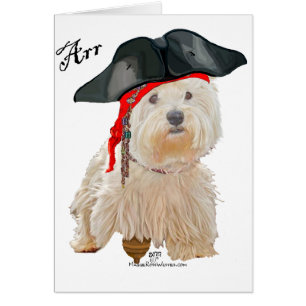 Pirate Westie