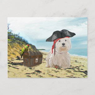 Pirate Westie Briefkaart