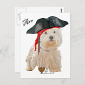 Pirate Westie Briefkaart (Voorkant / Achterkant)