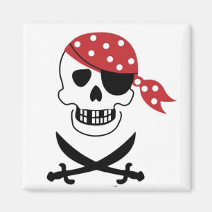 Pirates aimant crâne