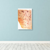 Piri Reis Oude Wereldkaart op Canvas Wrap (Insitu (Houten vloer))