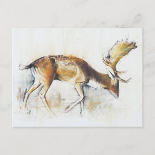 Pisanello Buck Briefkaart
