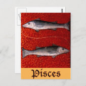 Pisces2 Briefkaart (Voorkant / Achterkant)