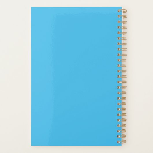 Pisces Astrology Planner (Achterkant)