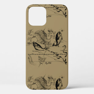 Pisces Constellation Hevelius 1690 Decor iPhone 12 Hoesje