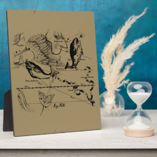 Pisces Constellation Hevelius 1690 Decor Fotoplaat